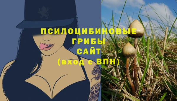 PSILOCYBIN Абаза
