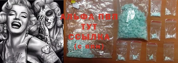 индика Абдулино