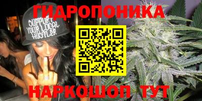 PSILOCYBIN Татарск