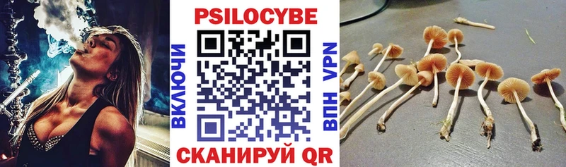 Псилоцибиновые грибы прущие грибы  Отрадный 
