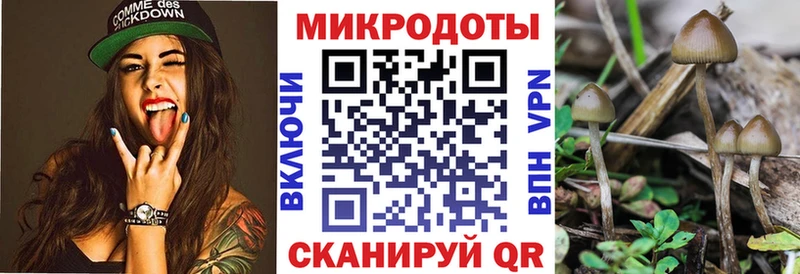Галлюциногенные грибы MAGIC MUSHROOMS Отрадный