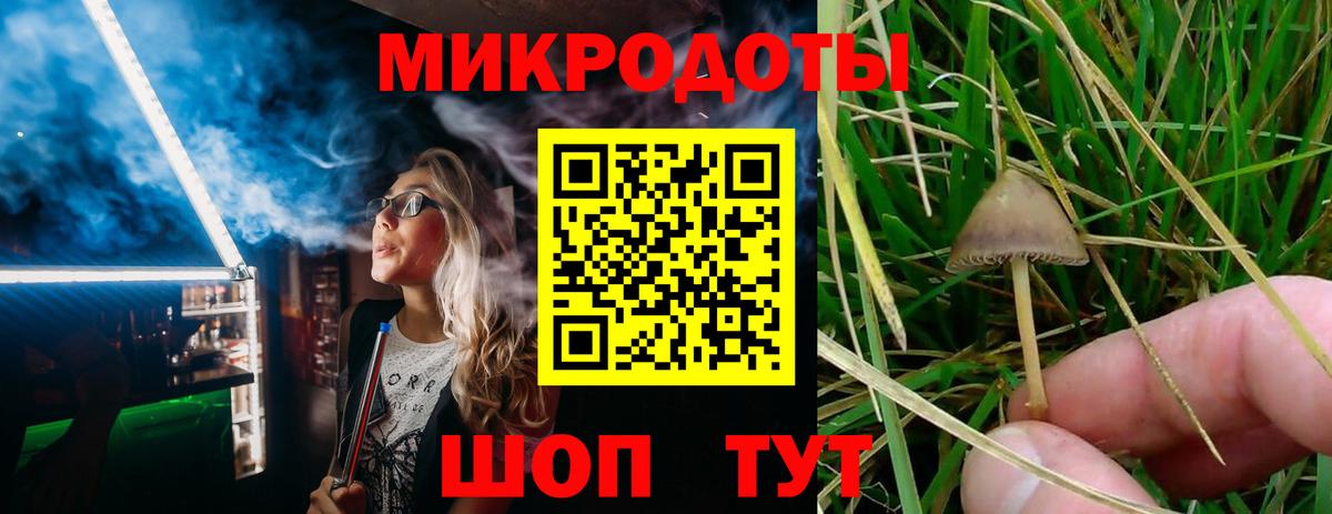 Галлюциногенные грибы Cubensis  Вход с VPN  Отрадный 