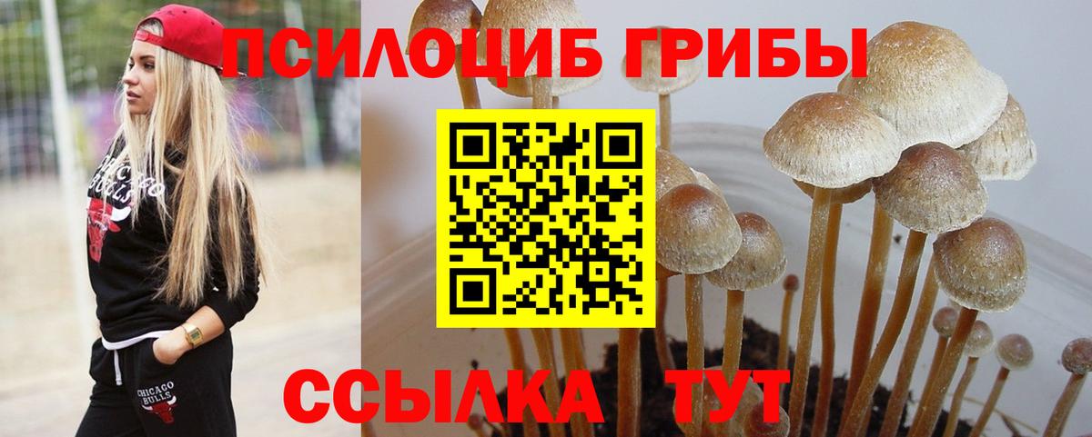 Галлюциногенные грибы Magic Shrooms Отрадный